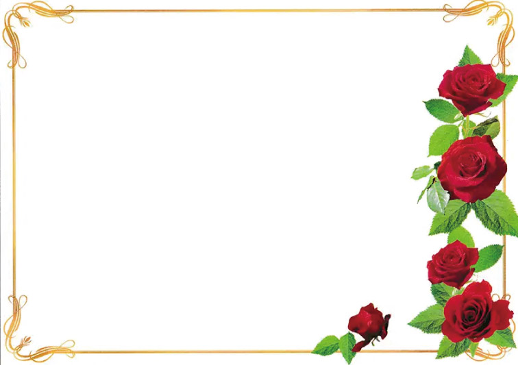 ローズ（ブランク）