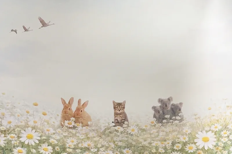 マーガレットと動物達